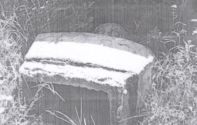 Демонтаж пам’ятника Леніну в Рудківцях – новини України 1