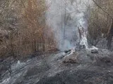 Лісова пожежа в Іспанії - вогонь знищив понад 1000 га, загинув чоловік - фото 5