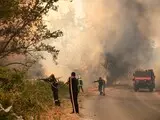 Лісові пожежі в Греції - знищено будинки та сільгоспугіддя, триває евакуація - фото Лісові пожежі в Греції - знищено будинки та сільгоспугіддя, триває евакуація - фото 12
