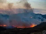 Лісові пожежі в Греції - знищено будинки та сільгоспугіддя, триває евакуація - фото Лісові пожежі в Греції - знищено будинки та сільгоспугіддя, триває евакуація - фото 14