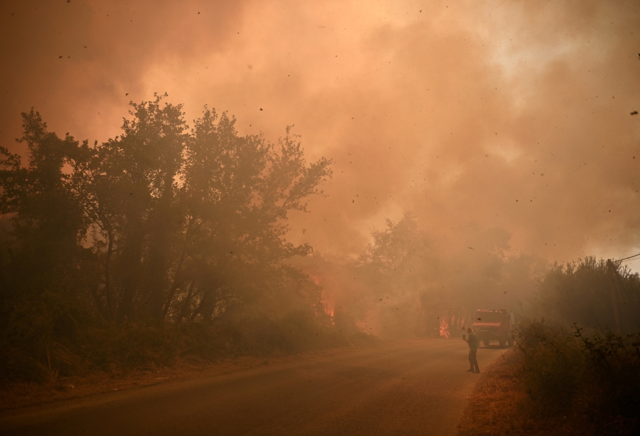 Лісові пожежі в Греції - знищено будинки та сільгоспугіддя, триває евакуація - фото 15