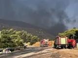 Лісові пожежі в Греції - знищено будинки та сільгоспугіддя, триває евакуація - фото Лісові пожежі в Греції - знищено будинки та сільгоспугіддя, триває евакуація - фото 9