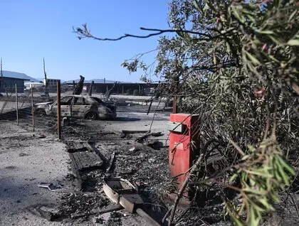 Лісові пожежі в Греції - знищено будинки та сільгоспугіддя, триває евакуація - фото Лісові пожежі в Греції - знищено будинки та сільгоспугіддя, триває евакуація - фото 6
