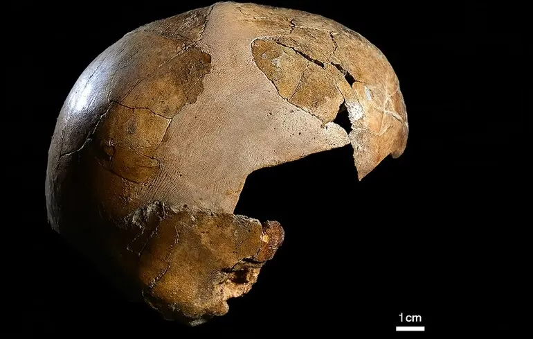 Найдавніші докази схрещування Homo sapiens і неандертальців — череп із печери Схул датують 140 тис. років — новини науки 1