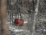 Пожежі в Кастилії і Леоні - вогонь загрожує спадщині ЮНЕСКО Лас-Медулас - фото Пожежі в Кастилії і Леоні - вогонь загрожує спадщині ЮНЕСКО Лас-Медулас - фото 14