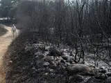 Пожежі в Кастилії і Леоні - вогонь загрожує спадщині ЮНЕСКО Лас-Медулас - фото Пожежі в Кастилії і Леоні - вогонь загрожує спадщині ЮНЕСКО Лас-Медулас - фото 11
