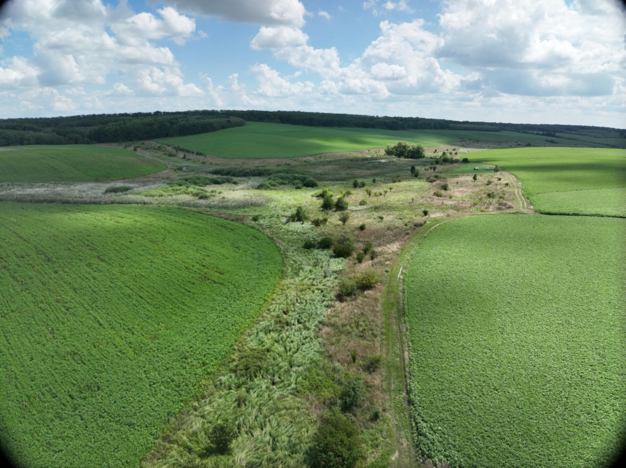 Річки України під загрозою обміління та висихання - заява гідролога 2