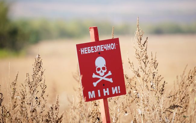 Росія обстрілює українців боєприпасами схожими на іграшки - як вони виглядають та чим небезпечні, фото 1