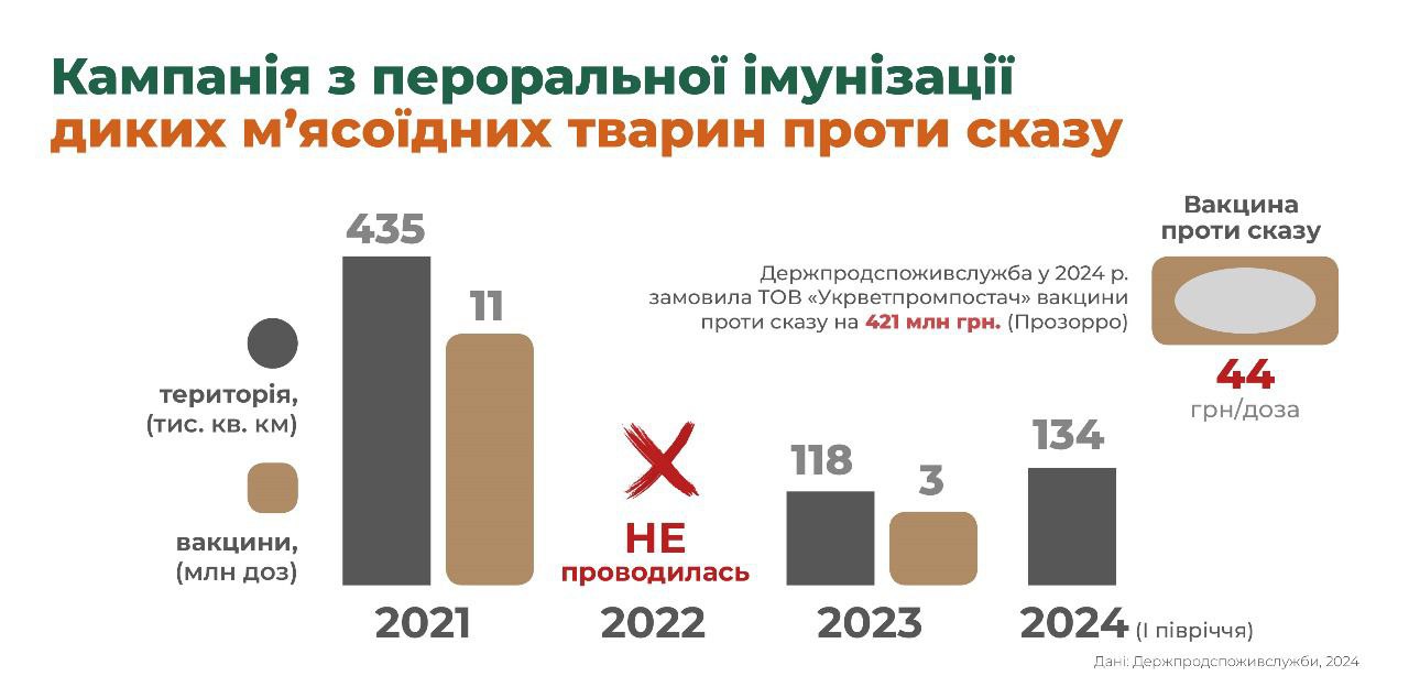 Сказ в Україні поширюється через зростання чисельності лисиць - чим це небезпечно 3