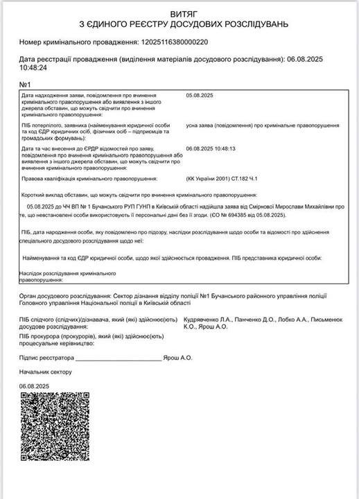 Стеження за депутаткою від УДАРу Смірновою - кримінальна справа відкрита 2