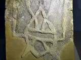 Виставка Скарби України показала сенсаційну знахідку з Городниці - фоторепортаж Виставка Скарби України показала сенсаційну знахідку з Городниці - фоторепортаж 25
