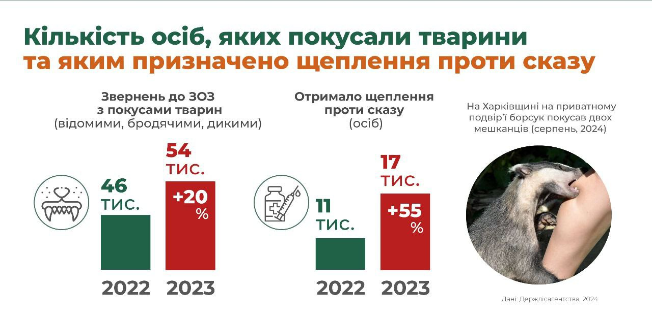 Віталій Смаголь в інтерв'ю РБК-Україна про диких тварин під час війни і поширення сказу 10