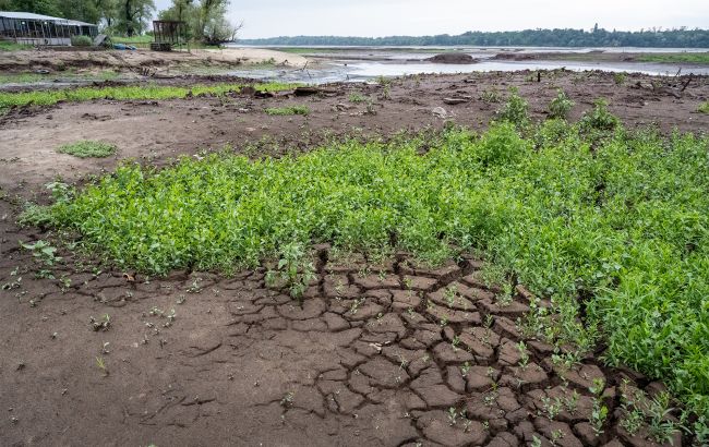 Водність деяких річок України у першій половині серпня 2025 критична - де маловоддя 1