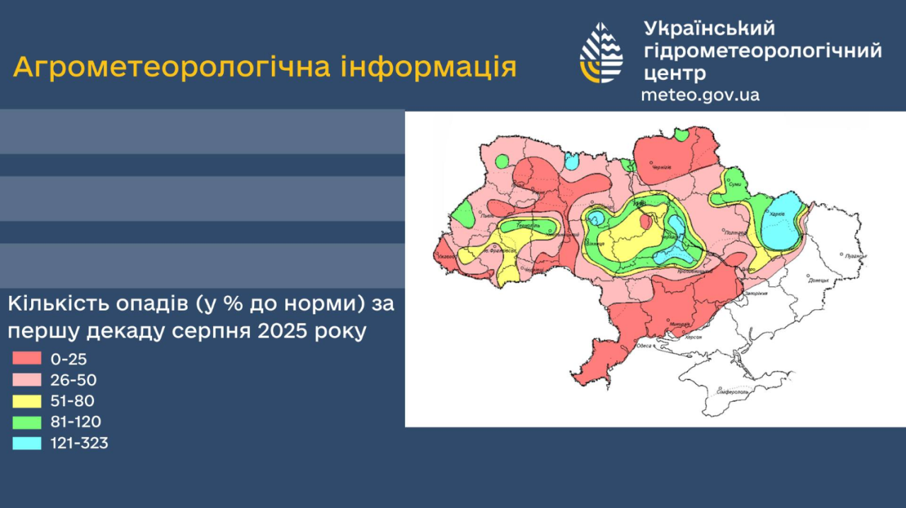 Врожай соняшника і кукурудзи 2025 на початку серпня страждає від посухи, шкідників і хвороб 2