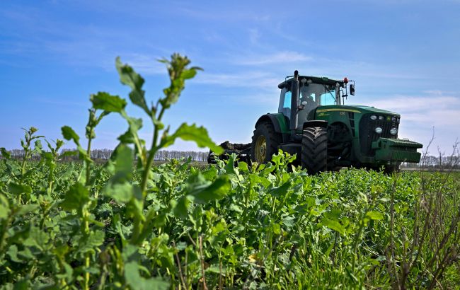 Врожай з радіоактивних земель продавали українцям 1