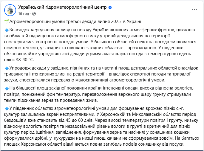 Врожай зернових, соняшника і кукурудзи 2025 постраждав від злив і спеки в липні - в яких областях 3