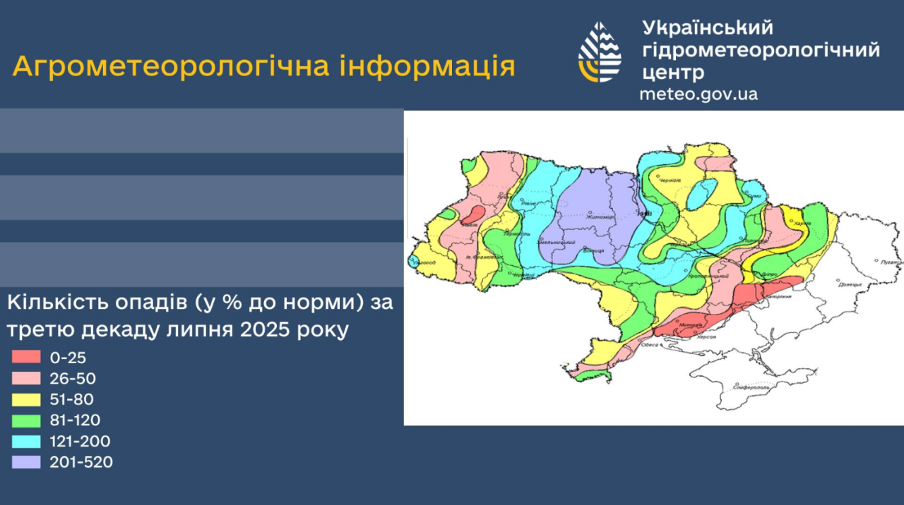 Врожай зернових, соняшника і кукурудзи 2025 постраждав від злив і спеки в липні - в яких областях 2