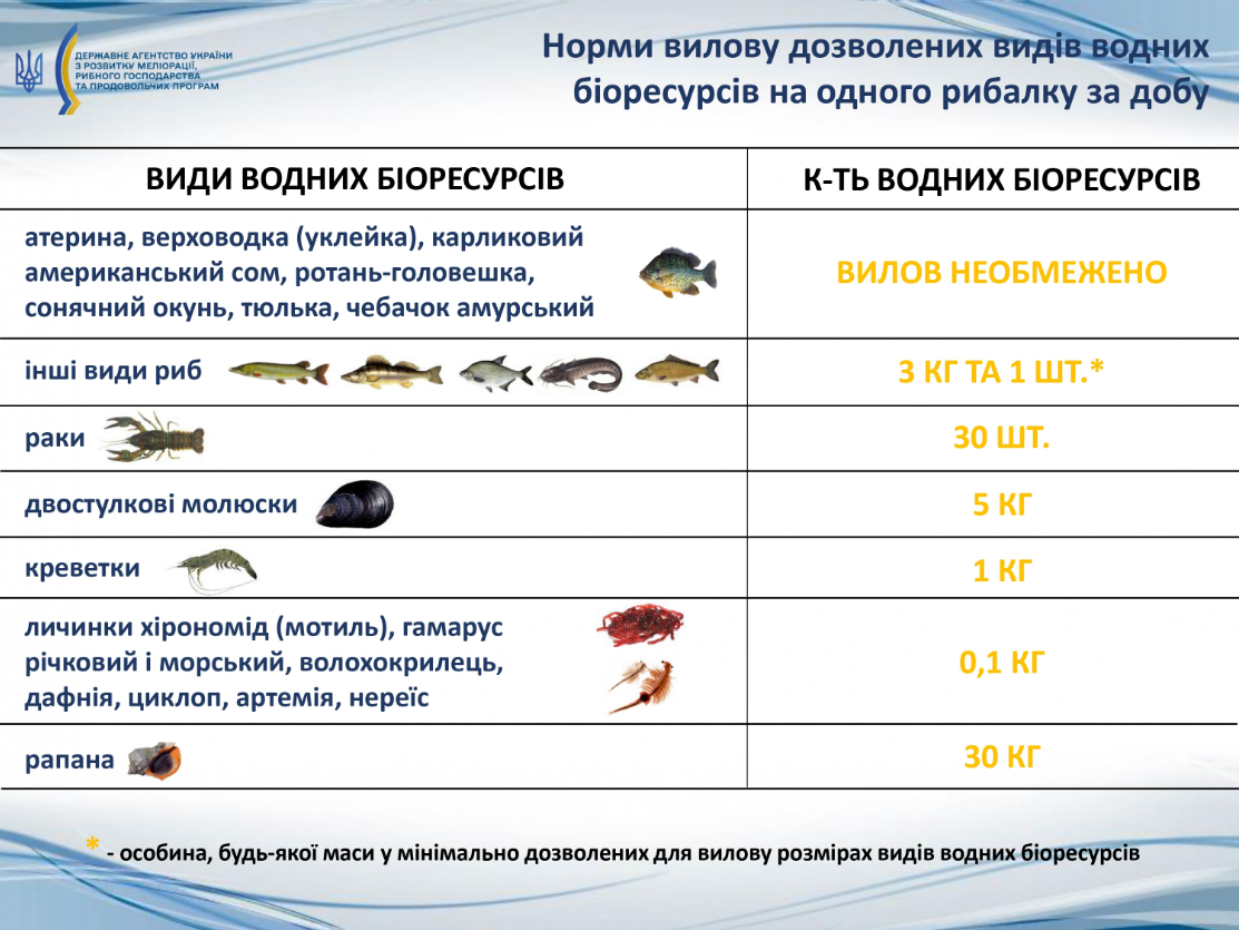Заборона на вилов 2025 не поширюється на 7 видів риб - кого можна ловити, правила рибальства 13