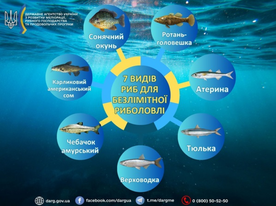 Заборона на вилов 2025 не поширюється на 7 видів риб - кого можна ловити, правила рибальства 15