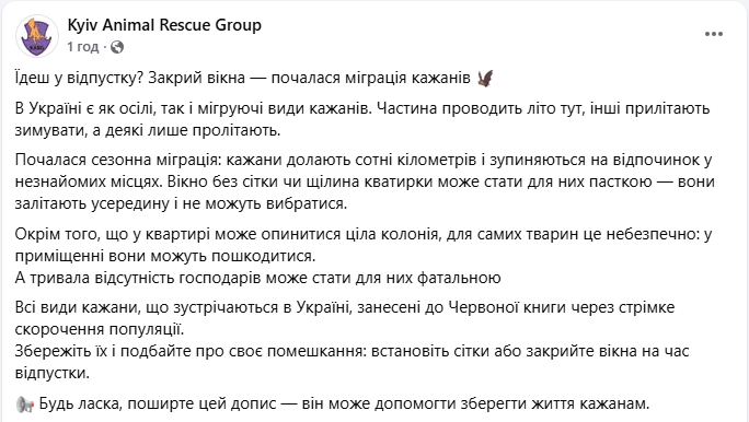 Закривати вікна у квартирі закликали українців через міграцію кажанів - що відомо, фото 15