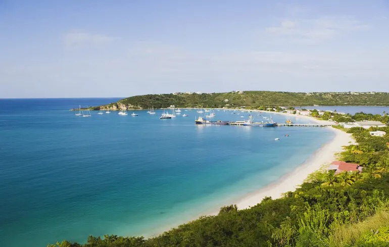 Ангілья заробляє на домені .ai — мільйони від буму штучного інтелекту — новини технологій Ангілья заробляє на домені .ai — мільйони від буму штучного інтелекту — новини технологій 1