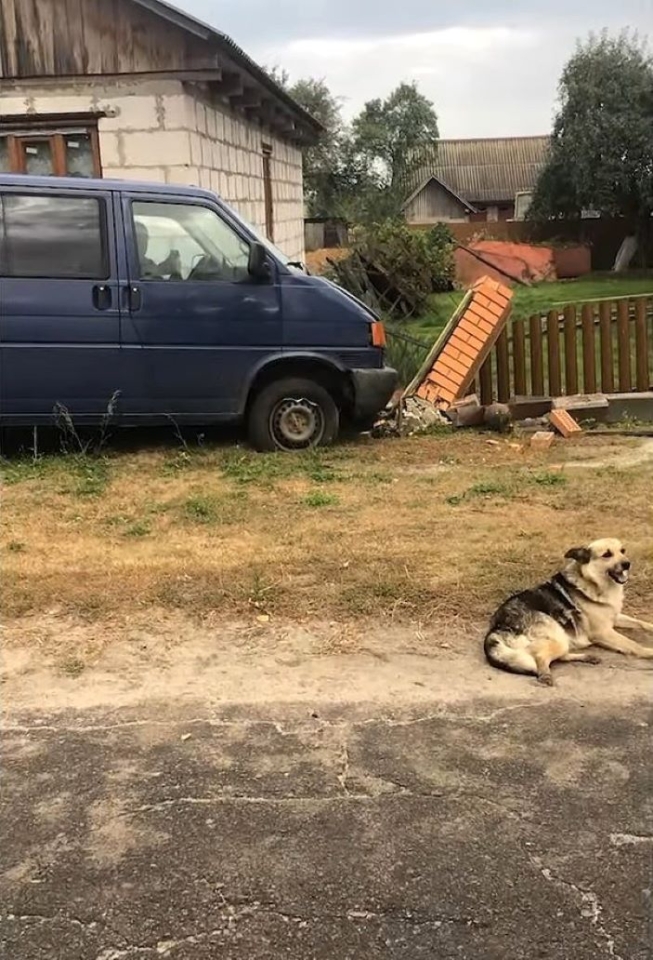 Авто працівників ТЦК врізалось у паркан у селі Трипутні Рівненської області - що сталось, відео 6
