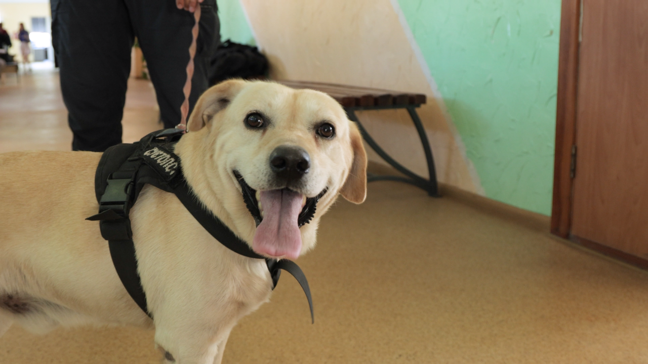 Евакуація переселенців – як працює транзитний центр в Павлограді Евакуація переселенців – як працює транзитний центр в Павлограді 6