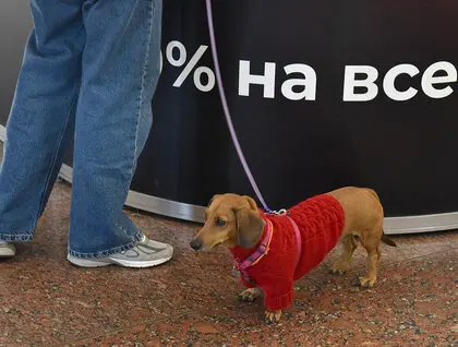 Книжкова країна - у столиці презентували понад 100 видавництв і 400 подій на ВДНГ - фото 30