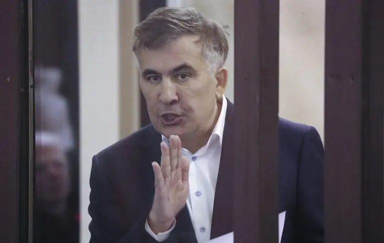 Партія Саакашвілі - її хочуть заборонити 1