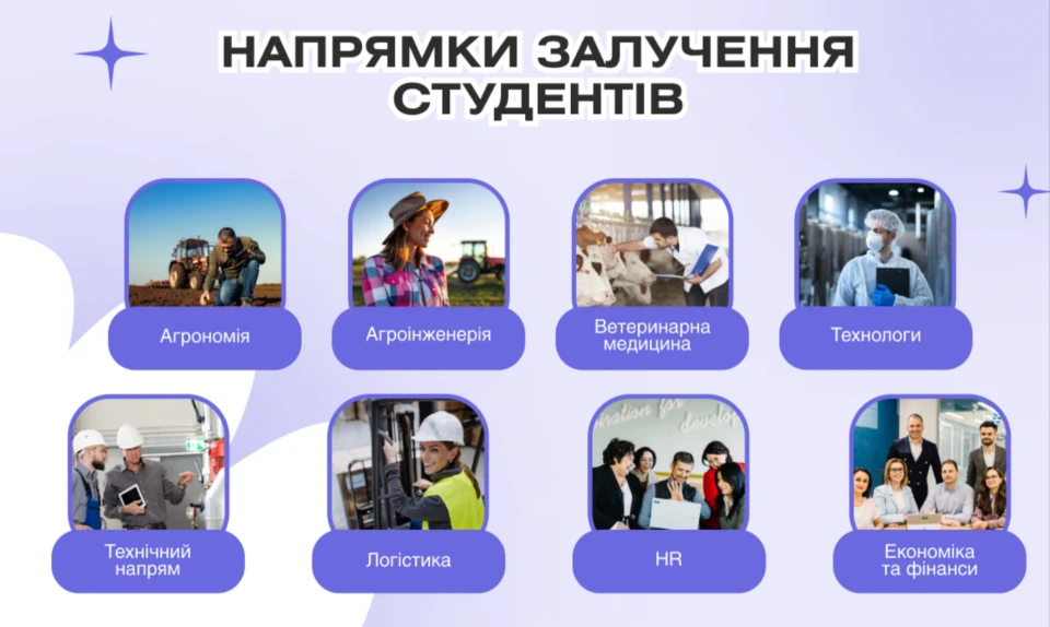 Поєднати навчання з роботою: як працює дуальна освіта в Україн 4