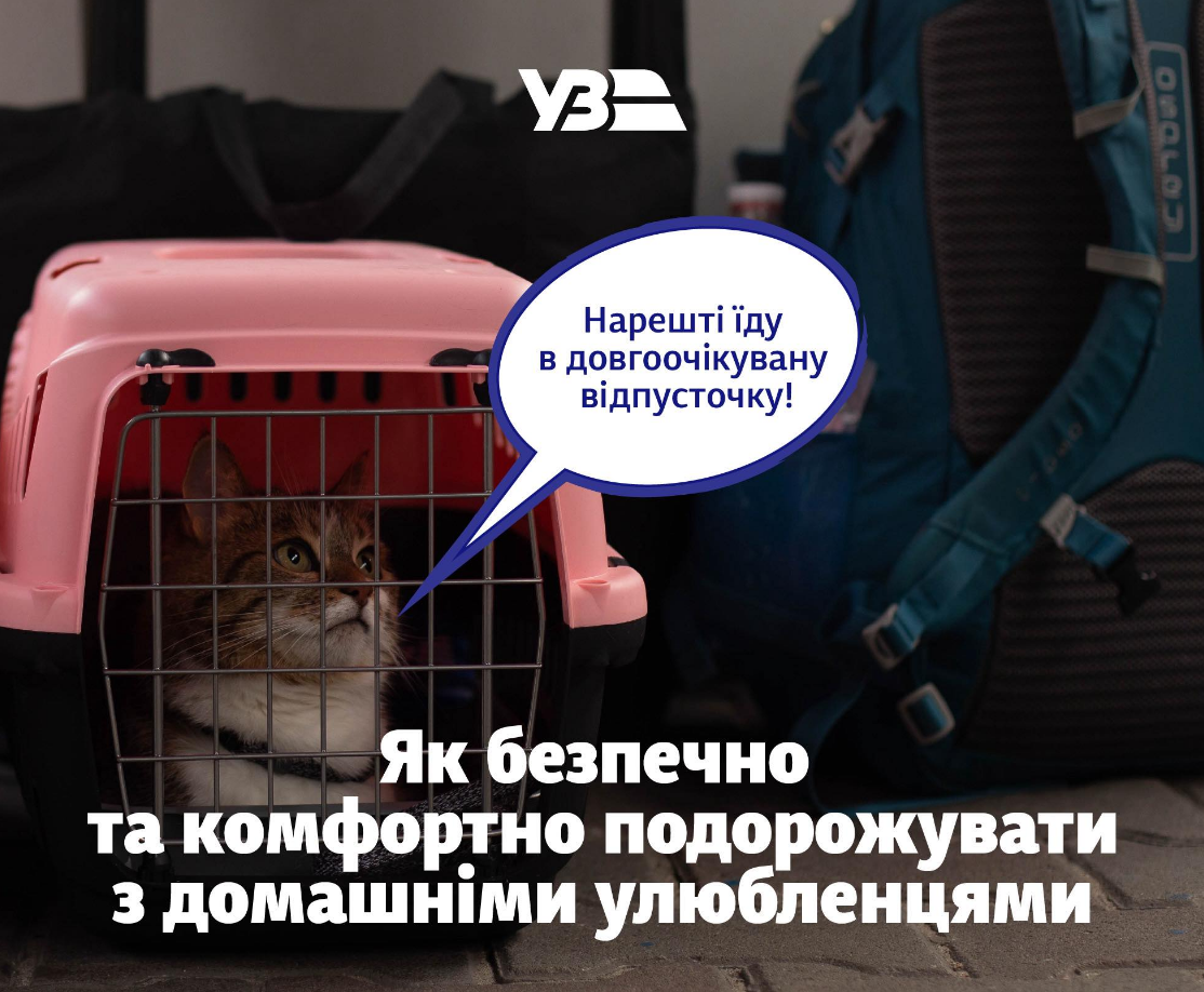 Правила перевезення тварин в поїзді Укрзалізниці по Україні 2025 - чи потрібен квиток собаці 2