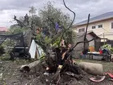 Супертайфун Рагаса - у Гонконзі закрили установи і скасували 700 рейсів - новини світу 6