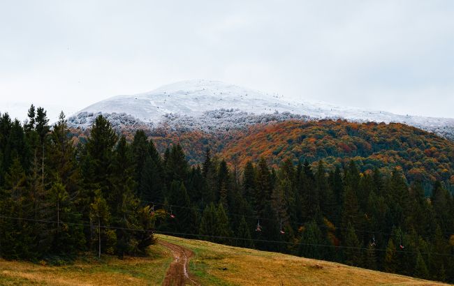 Карпати накрив шторм із сильними поривами вітру на високогір'ї - погода в горах, прогноз, фото Карпати накрив шторм із сильними поривами вітру на високогір'ї - погода в горах, прогноз, фото 6