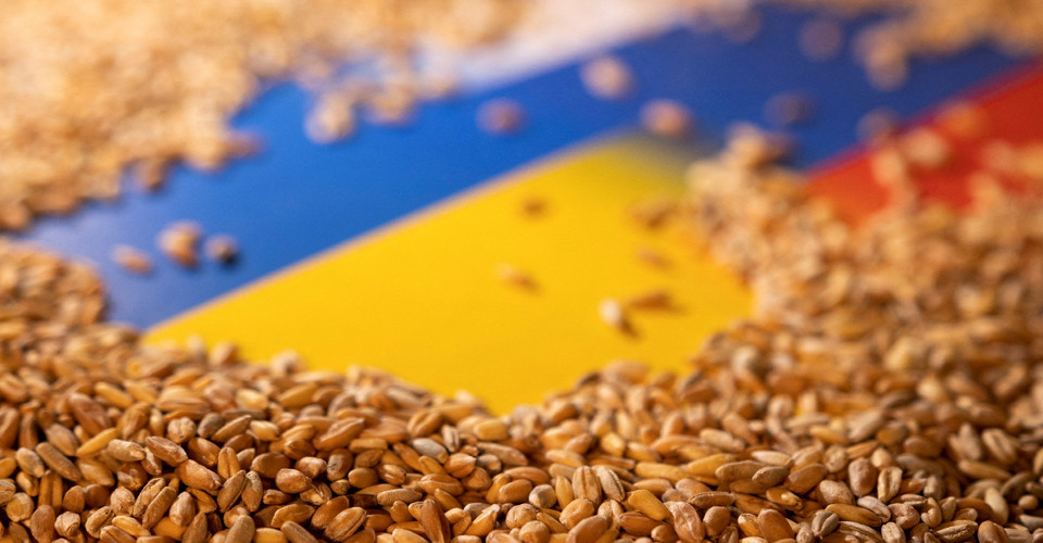 Марчук: Близько 90 країн світу купують у РФ вкрадене українське зерно 1