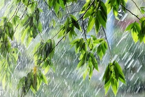Мікроби з епохи безкисневої Землі очищають воду Мікроби з епохи безкисневої Землі очищають воду 2
