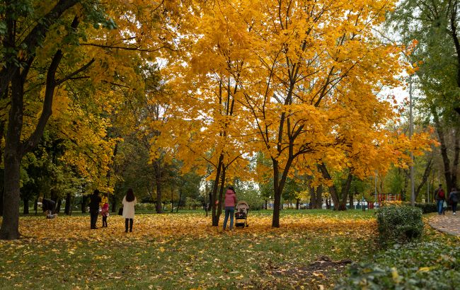 Погода в Україні 30 жовтня - потепління та без дощів Погода в Україні 30 жовтня - потепління та без дощів 1