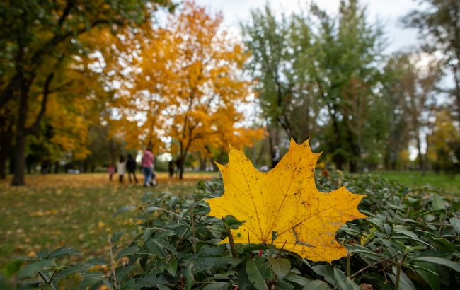 Погода в Україні 31 жовтня - де дощитиме Погода в Україні 31 жовтня - де дощитиме 1