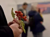 У Хлібні Софії Київської відкрили персональну виставку художника Антона Логова - фото 37
