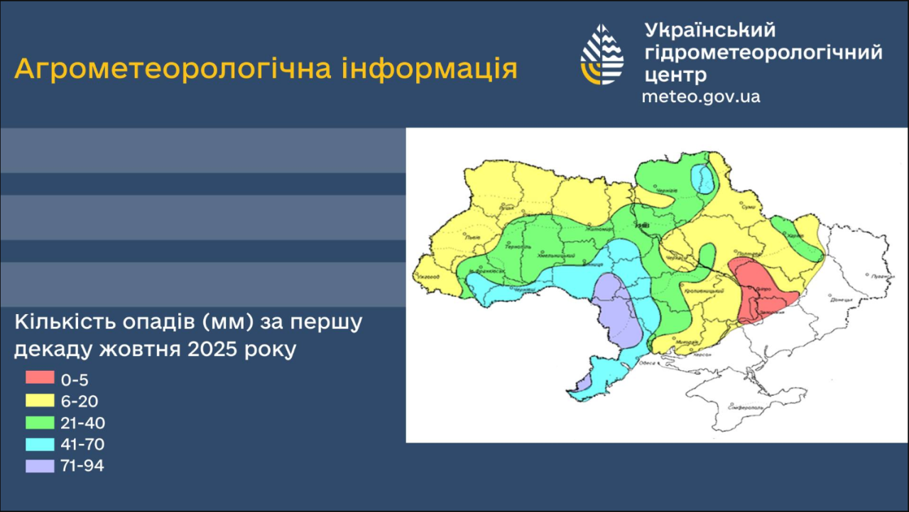 Врожай соняшника, сої, цукрового буряку і озимих постраждав від погоди в жовтні - в яких областях 5