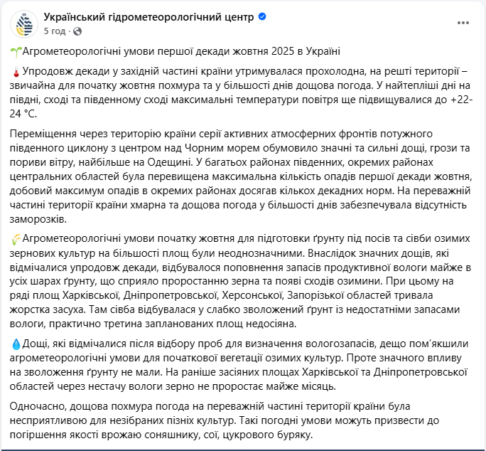 Врожай соняшника, сої, цукрового буряку і озимих постраждав від погоди в жовтні - в яких областях 6