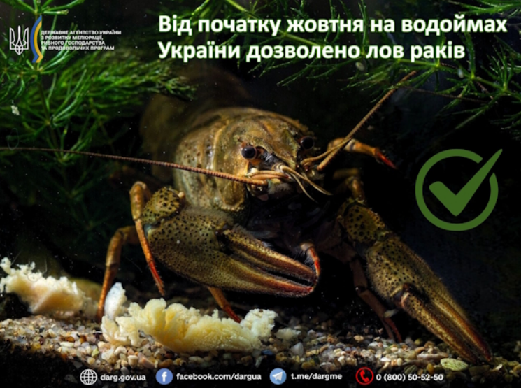 Заборона на вилов раків 2025 в Україні завершилась - як ловити без штрафів, правила рибальства 6
