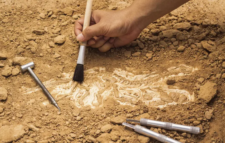 Археологи знайшли унікальні неолітичні артефакти в Туреччині - відкриттям стала статуя з посмертним виразом обличчя - новини науки 1