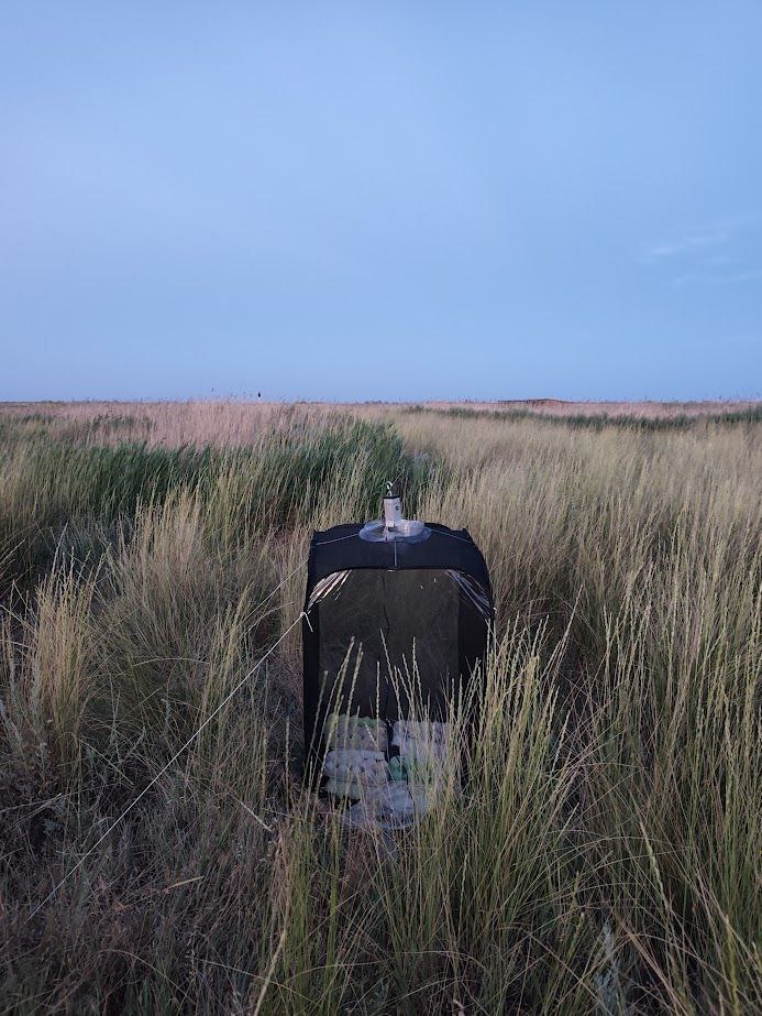 Ентомолог Євгеній Халаїм в інтерв'ю РБК-Україна про комах, бджіл і червонокнижні види 17