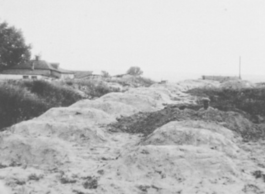 Голодомор 1932-1933 років забрав життя щонайменше 4,5 млн - історик Михайло Костів 3