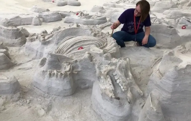 Хижаки з носорогових Помпеїв - учені знайшли рештки гігантських собак віком 12 мільйонів років 1