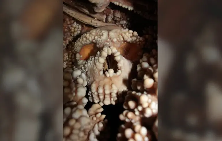 Ідеально збережений череп неандертальця спростував одну з теорій - що з'ясували вчені 1