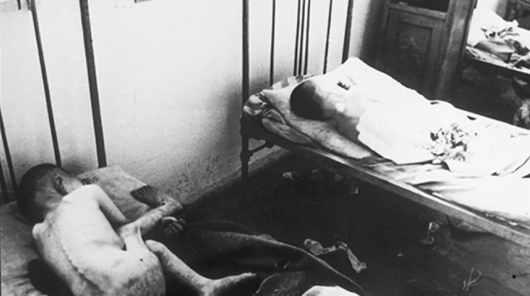 Історик Михайло Костів в інтерв'ю РБК-Україна про Голодомор-геноцид 1932-1933 років 8