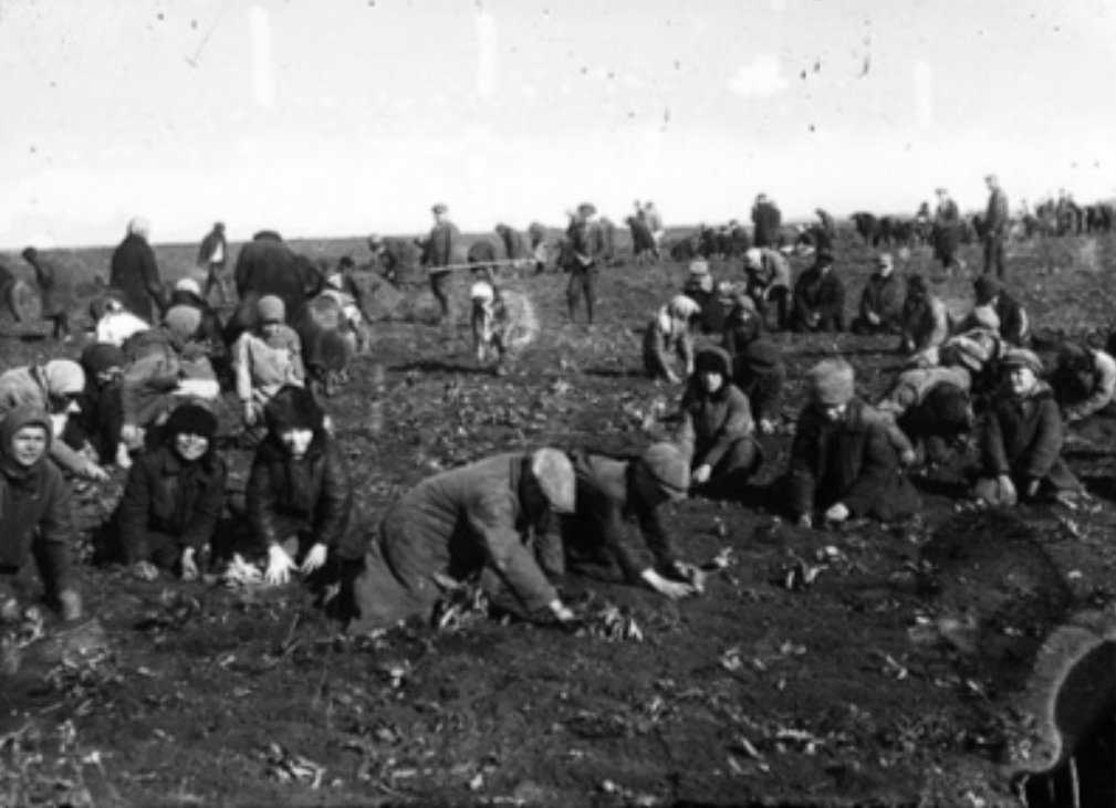Історик Михайло Костів в інтерв'ю РБК-Україна про Голодомор-геноцид 1932-1933 років 7
