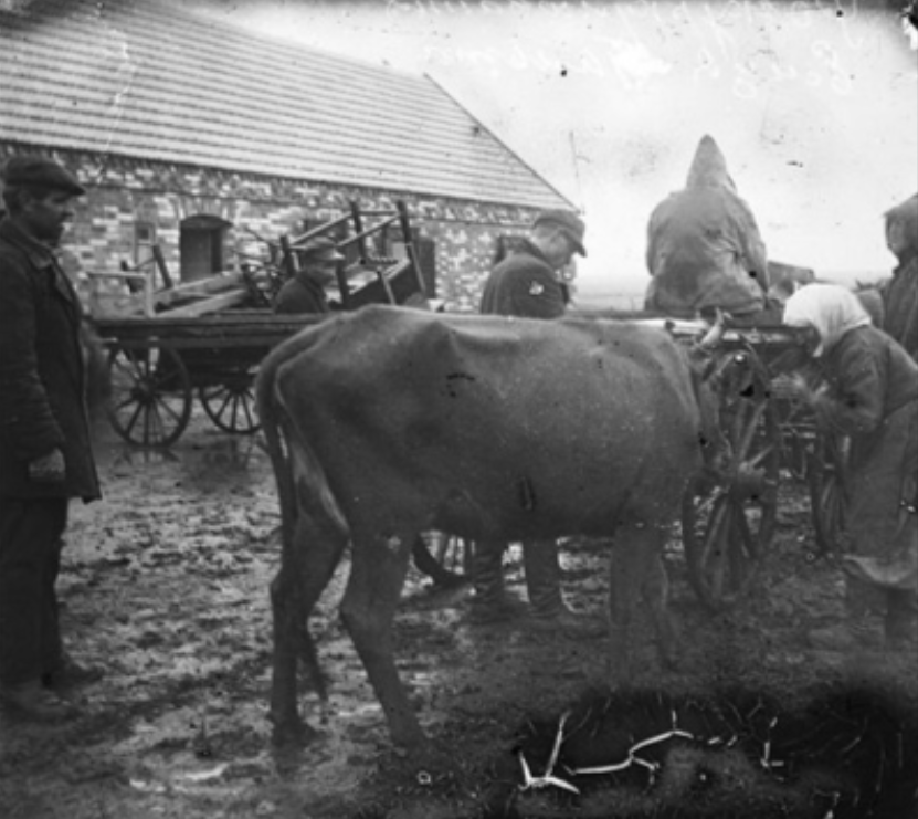 Історик Михайло Костів в інтерв'ю РБК-Україна про Голодомор-геноцид 1932-1933 років 4