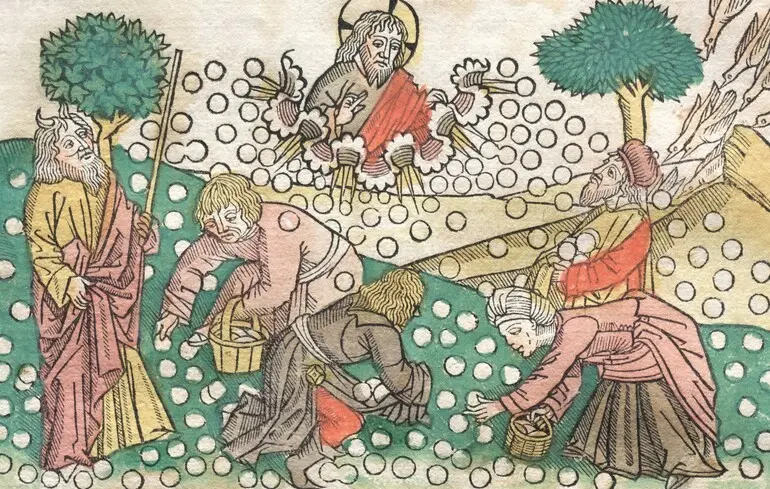 Як жили селяни в середньовіччі - у селян були лікарняні та відпустки після втрати близького 1